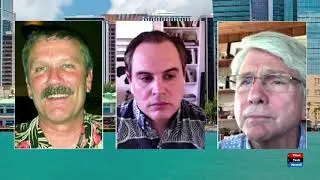 Economics and Politics in Hawaii After Covid (Hawaii After Covid)