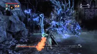 Bloodborne™ Dark Beast Paarl. Перемес.