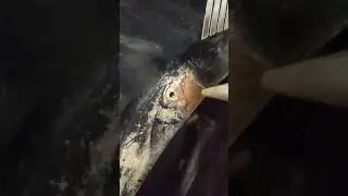 Popping rust pimples pt 2