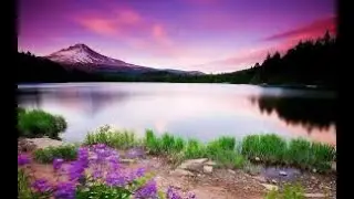 Amazing Nature Scenery & Relaxing Music for Stress