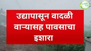 IMD rain alert उद्यापासून अवकाळी वादळी वाऱ्यासह पाऊस विजांचा कडकडासह पाऊस big breaking news