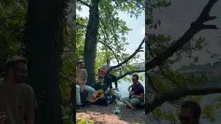 Notre nouveau public : 🦢🦢🦢 #groupe #musique #rock