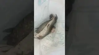 Наш улов💪👍