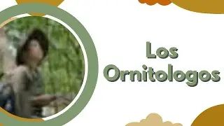 LOS ORNITÓLOGOS 🪹🪺🐦🪶