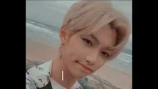 stray kids все участники