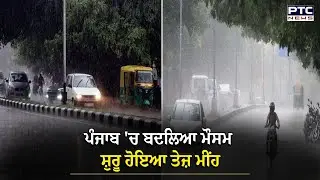 Punjab 'ਚ ਬਦਲਿਆ ਮੌਸਮ, ਸ਼ੁਰੂ ਹੋਇਆ ਤੇਜ਼ ਮੀਂਹ, Gurdaspur ਤੋਂ ਤਸਵੀਰਾਂ ਆਈਆਂ ਸਾਹਮਣੇ