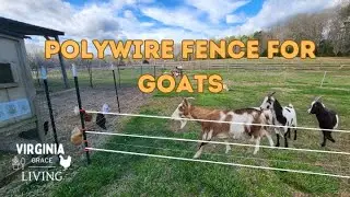 Setting Up Electric Fence for Goats- 3 - 4 Strand Polywire