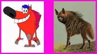 Zig Sharko Characters In Real Life