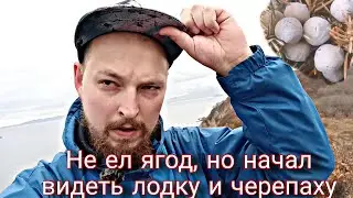 Мыс Пассека | Последние теплые дни | Странные ягоды | Приморский край
