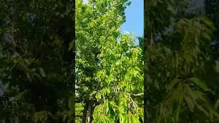 Uzbekistan @ergashov_dil #uzbekistan #reels #reelsuzb #uzb #fargona #фергана #рекомендации