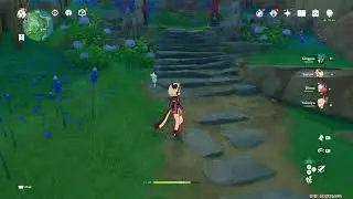 GENSHIN IMPACT ROSARIA MAIN dailies