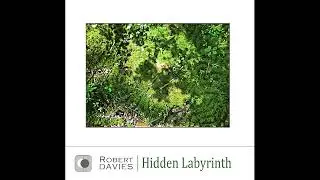 Robert Davies - Hidden Labyrinth (2020)