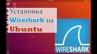 Установить Wireshark на Ubuntu