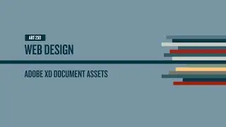 Using the document assets panel in Adobe XD