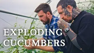 Tasting Tour of The Garden | ft. @SpicyMoustache | Huw's Garden Diaries