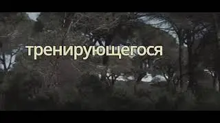 Победа Над Прокрастинацией: Твой Путь к Целям