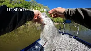 LC Shad Glitz Color Pour To Catch/Kerr Lake Fishing