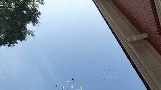 31.08.2024г.Вечерний гон.