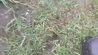 Рыбалка в Монголии