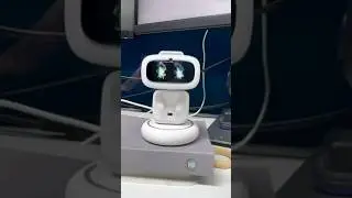 🔌🤖⚡️😎 AIBI VS Emo 