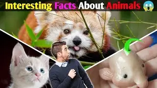 ऐसे Facts जो नहीं जानने चाहिए ? 😱| Interesting Facts About Animals #shorts #viral