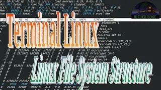 Terminal Linux File System Overview