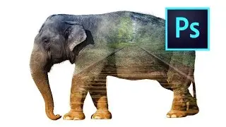 Double Exposure Effect for Beginner | Photoshop Tutorial