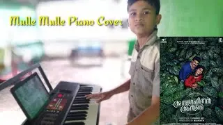 Mulle Mulle | Anugraheethan Antony | Piano Cover