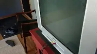Sony Trinitron squeal