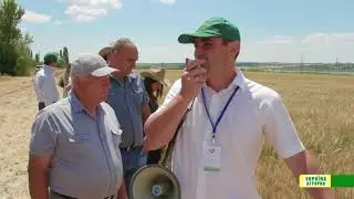 СЕЛЕНА - НАСІННЯ, ЯКЕ ОБИРАЮТЬ УСПІШНІ АГРАРІЇ!