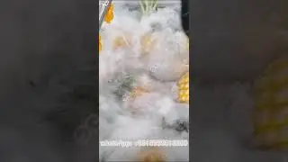 Pineapple Cleaning Machine Pineapple Washing Equipment