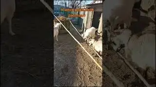 12 декабря 2023 г.