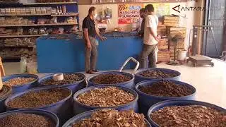 Indonesian spices are still sought after by the world