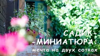 Сад Елены Семёновой / @Qgarden