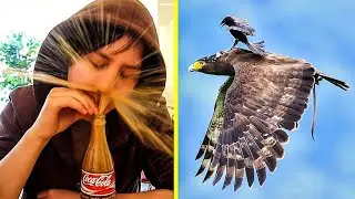 Photos Taken At Just The Right Moment V2
