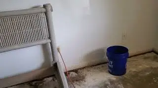 Flood