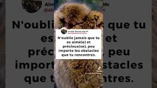N’oublie jamais que tu es aimé #shortvideo #motivation #gratitudemindset #gratefulmindset