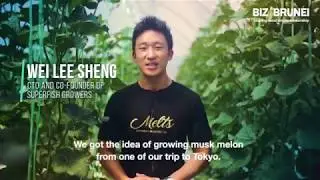 BIZ | BRUNEI - Japanese Muskmelon Using Superfish