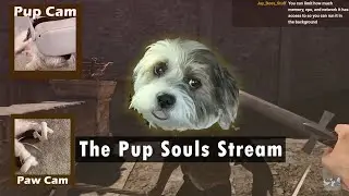 Bark Souls 2 - the Third Dimension