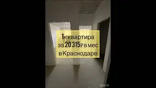 1к за 20 315 в мес Краснодар #доманаюге #квартиры #краснодарскийкрай #жилье #краснодар #недвижимость
