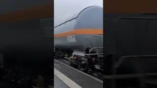 Durchfahrt einer BR 290 "Privat Bahn" mit Gütterwagen