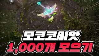 모코코 씨앗 1,000개 수집 얼마나 걸릴까? [로스트아크]