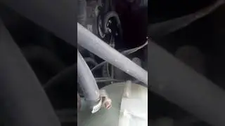 Я в шоке стучит мотор MB VITO 2005год