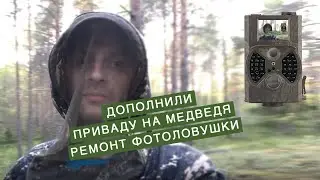 Ремонт фотоловушки Еще дополнили приваду на медведя