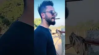 Tumne Kya paad lia | Elvish Yadav savage reply to Avinash | Elvish  Avinash Fight 