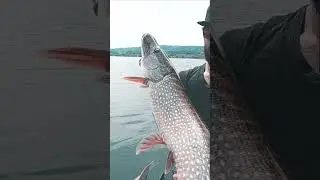 My Lonely Way - Pikefishing 
