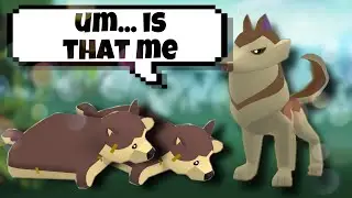 HUSKY PILLOW? NEW BUNDLE UPDATE |animal jam play wild REVIEW|