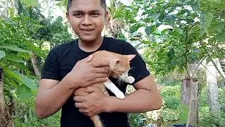 MEMASANG PAGAR WARING UNTUK UMBARAN AYAM