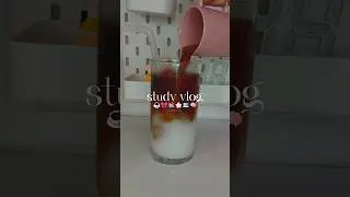 ꕀ₊˚ʚ study vlog