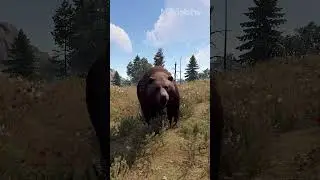 О ХОЛЕРО, ЧИ ТО ФРЕДДИ ФАЗБЕР  